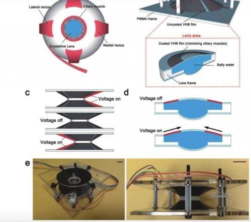 dispositif lentille