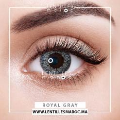 Faceloox 1 Day - Royal Gray