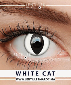 Lentilles Halloween - White Cat