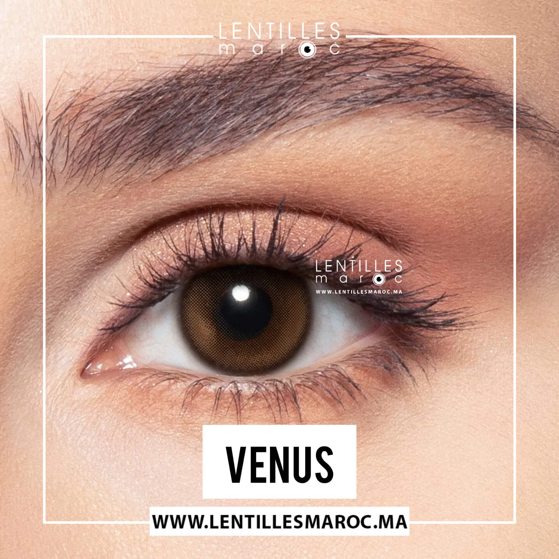 Bella Stellar Gaze Venus